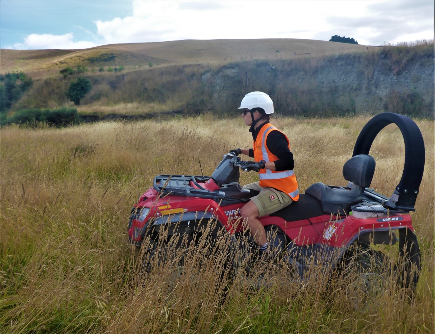 Farmer on a quad bike mustering stock — New Zealand agriculture sector